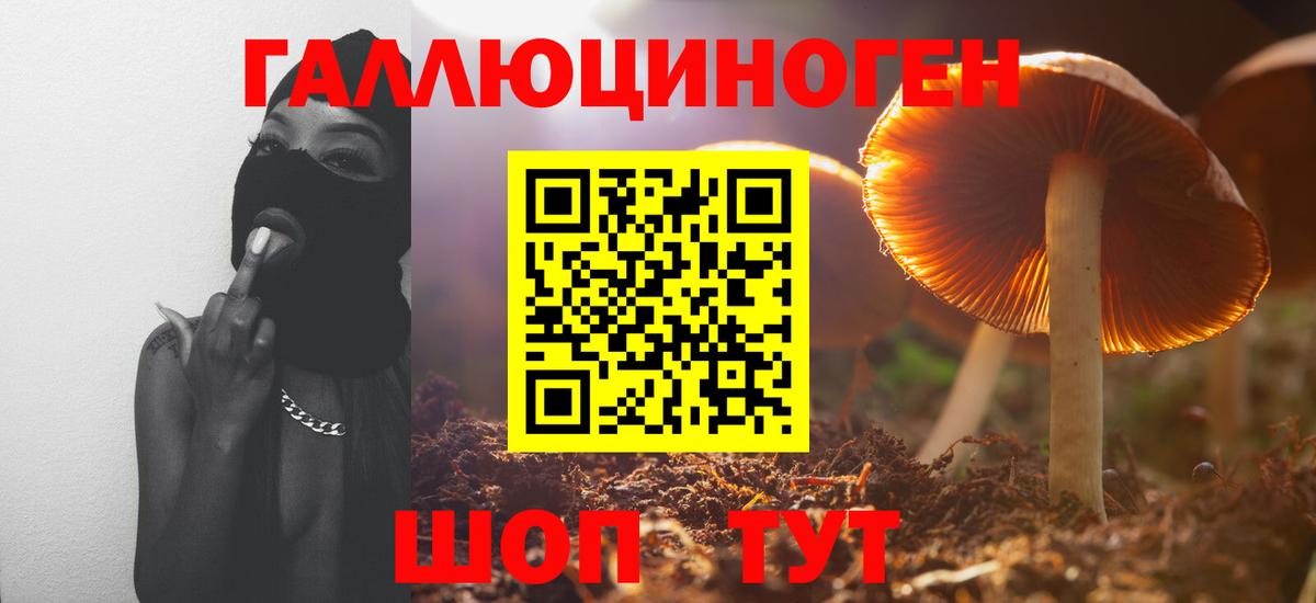 Галлюциногенные грибы ЛСД Тельмана